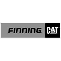 Finning Cat